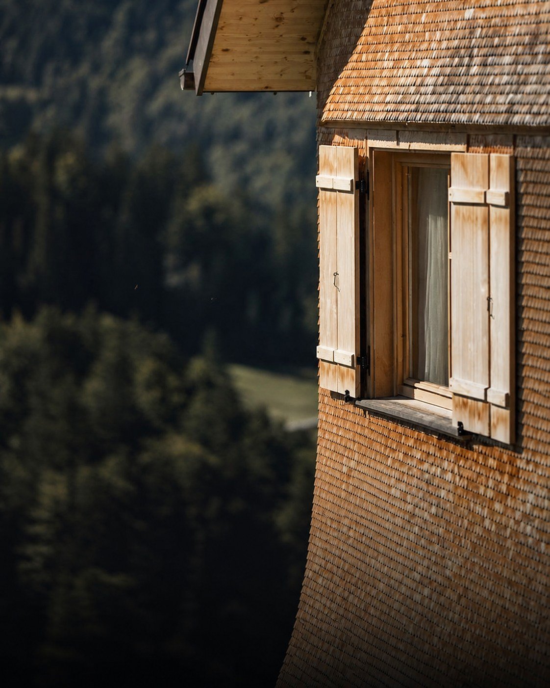 Hotel in legno nel bosco, immagine concettuale